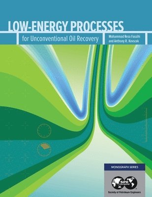 Reza Fassihi, Tony Kovscek - Low-Energy Processes for Unconventional Gas Recovery, Häftad