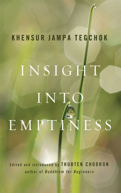 Jampa Tegchok, Thubten Chodron - Insight into Emptiness, E-bok