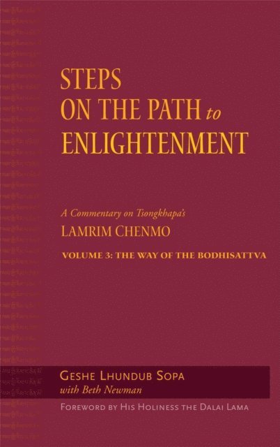 Lhundub Sopa, Beth Newman, David Patt - Steps on the Path to Enlightenment, E-bok