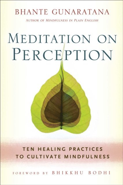 Henepola Gunaratana - Meditation on Perception, E-bok