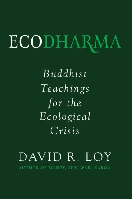 David Loy - Ecodharma, E-bok