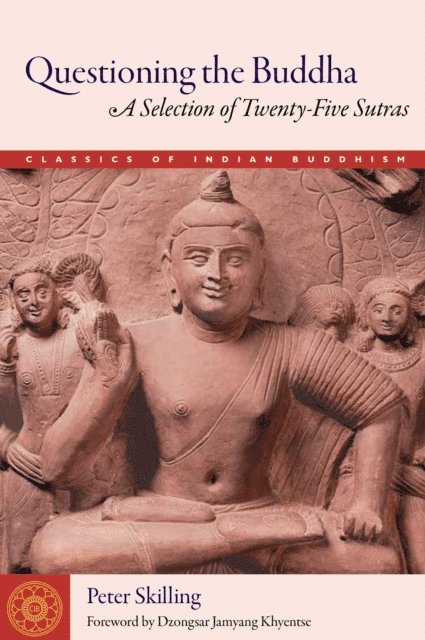Peter Skilling - Questioning the Buddha, E-bok