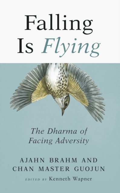 Master Guojun, Ajahn Brahm, Kenneth Wapner - Falling is Flying, E-bok