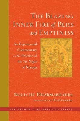 David Gonsalez - Blazing Inner Fire of Bliss and Emptiness, Inbunden
