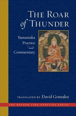 David Gonsalez - Roar of Thunder, Inbunden