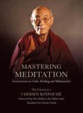 Mastering Meditation