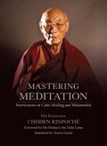 Mastering Meditation