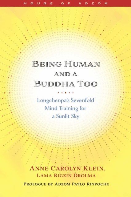 Anne Klein - Being Human and a Buddha Too, E-bok
