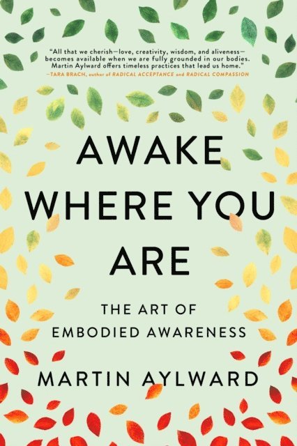 Martin Aylward - Awake Where You Are, E-bok