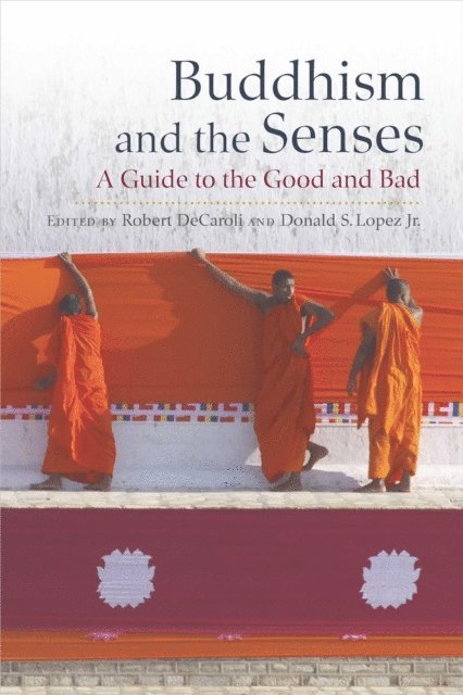 Donald S. Lopez Jr., Robert DeCroli - Buddhism and the Senses, E-bok