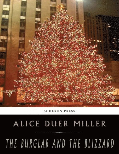 Alice Duer Miller - Burglar and the Blizzard, E-bok