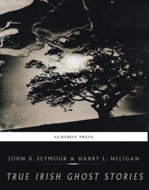 John D. Seymour - True Irish Ghost Stories, E-bok