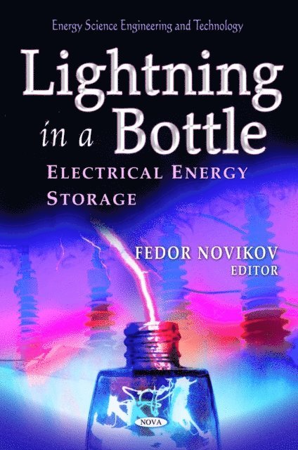 Fedor Novikov - Lightning in a Bottle: Electrical Energy Storage, E-bok