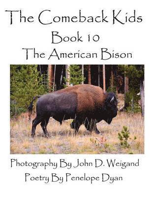 Comeback Kids--Book 10--The American Bison