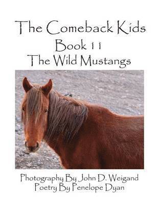 Comeback Kids--Book 11--The Wild Mustangs