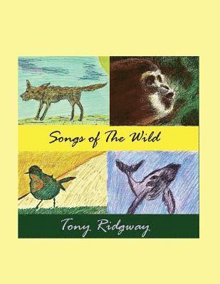 Tony Ridgway - Songs of the Wild, Häftad. Tillgänglighet: Lägg i varukorg