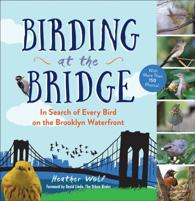 Heather Wolf - Birding at the Bridge, E-bok