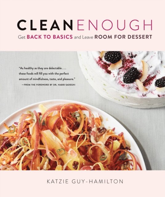 Katzie Guy-Hamilton - Clean Enough, E-bok