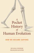 Pocket History of Human Evolution
