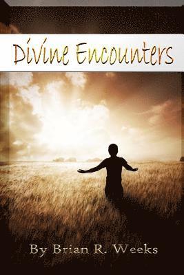 Brian R Weeks - Divine Encounters, Häftad