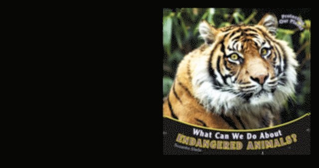 What Can We Do About Endangered Animals?