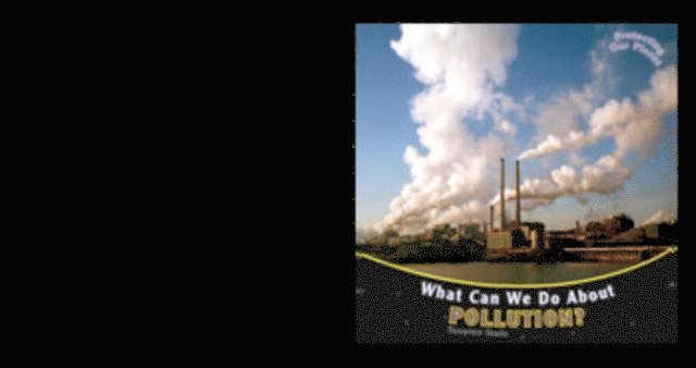 What Can We Do About Pollution?