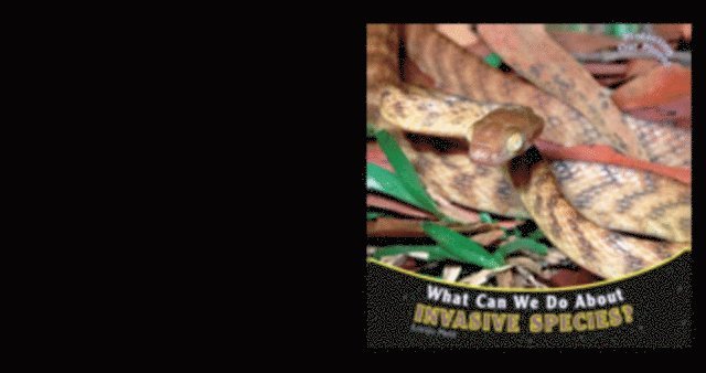 Lorijo Metz - What Can We Do About Invasive Species?, E-bok