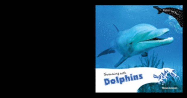 Swimming with Dolphins