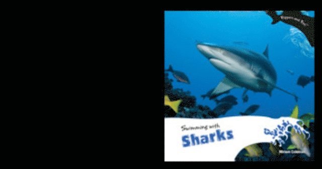 Swimming with Sharks