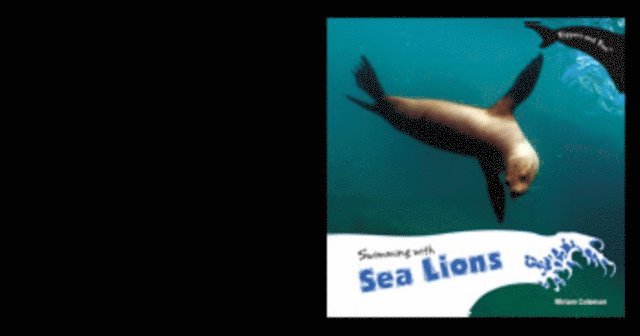 Swimming with Sea Lions
