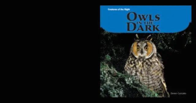 Doreen Gonzales - Owls in the Dark, E-bok. Tillgänglighet: Lägg i varukorg