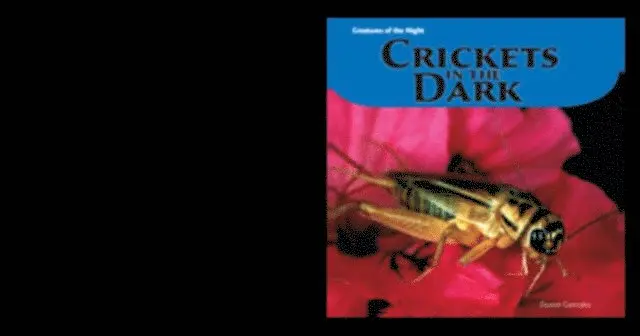Doreen Gonzales - Crickets in the Dark, E-bok. Tillgänglighet: Lägg i varukorg