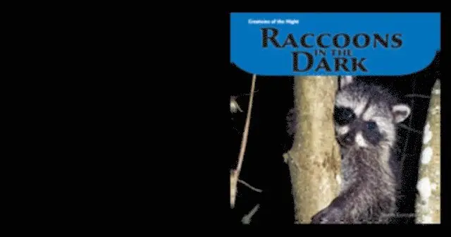 Doreen Gonzales - Raccoons in the Dark, E-bok. Tillgänglighet: Lägg i varukorg