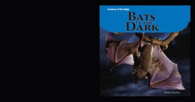 Doreen Gonzales - Bats in the Dark, E-bok. Tillgänglighet: Lägg i varukorg