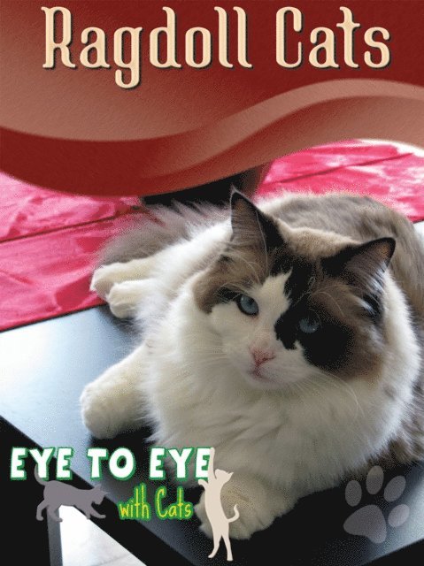 Lynn Stone - Ragdoll Cats, E-bok