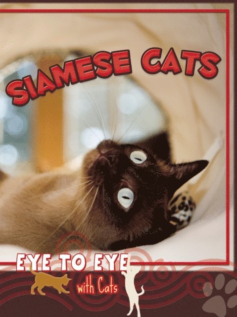 Siamese Cats