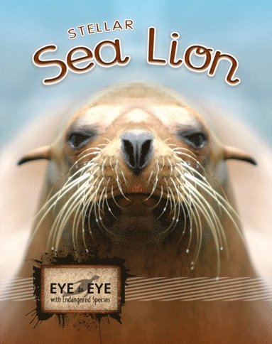 Precious McKenzie - Stellar Sea Lions, E-bok