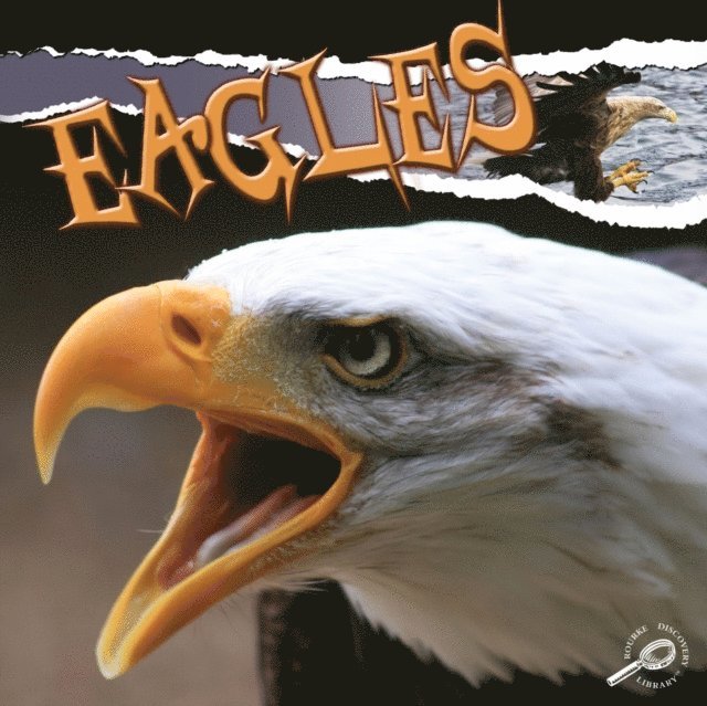 Julie Lundgren - Eagles, E-bok. Tillgänglighet: Lägg i varukorg