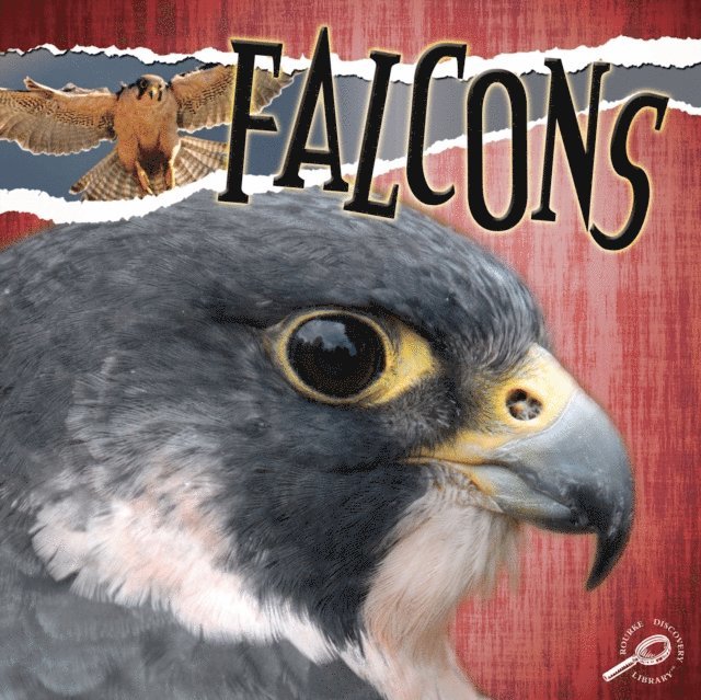 Julie Lundgren - Falcons, E-bok. Tillgänglighet: Lägg i varukorg