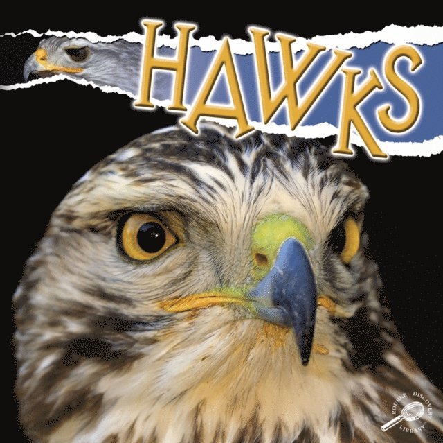 Julie Lundgren - Hawks, E-bok. Tillgänglighet: Lägg i varukorg