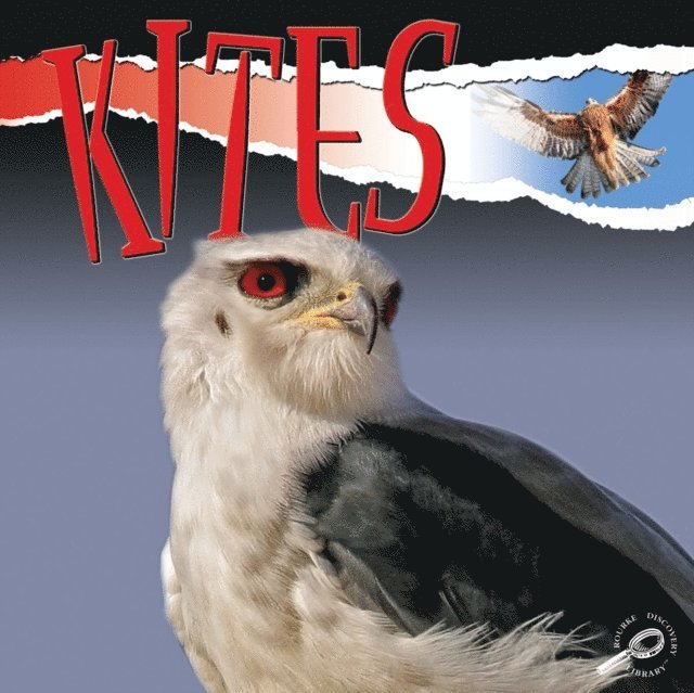 Julie Lundgren - Kites, E-bok. Tillgänglighet: Lägg i varukorg