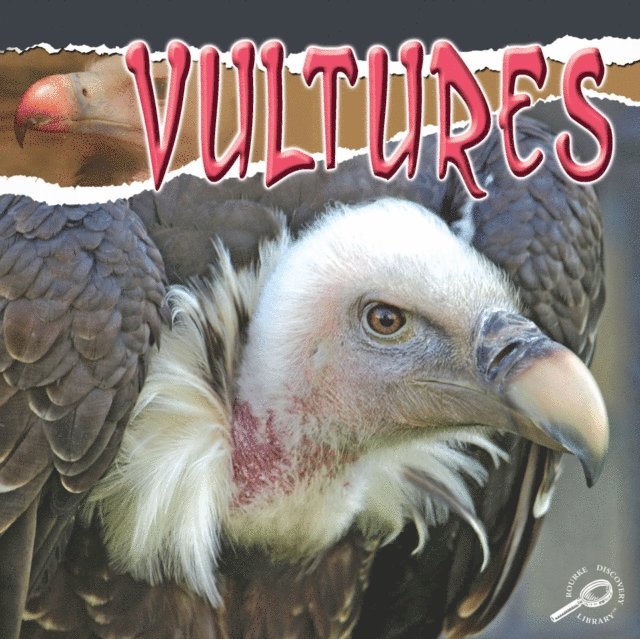 Julie Lundgren - Vultures, E-bok. Tillgänglighet: Lägg i varukorg