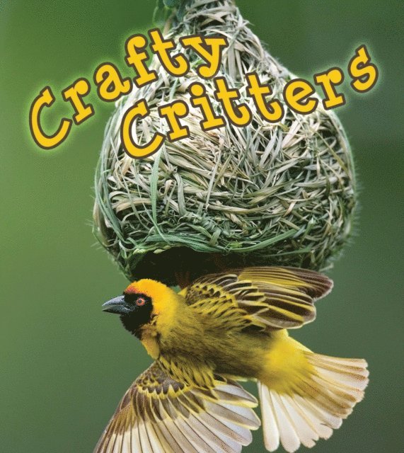 Patricia Armentrout, David Armentrout - Crafty Critters, E-bok