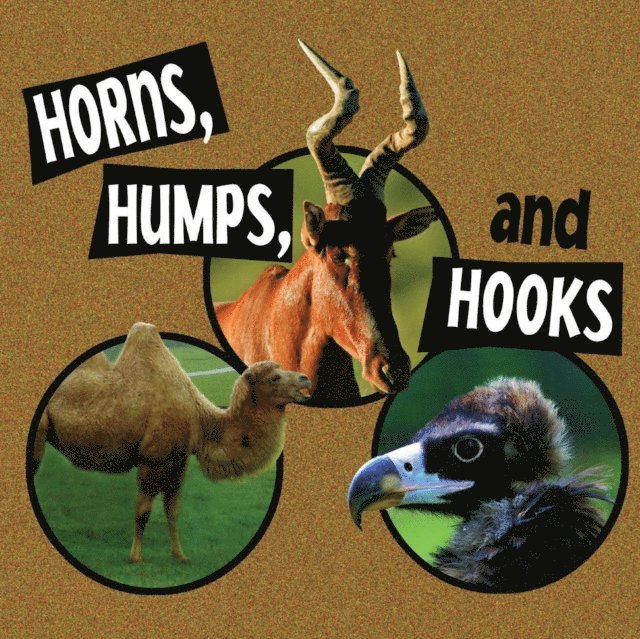 Horns, Humps, and Hooks