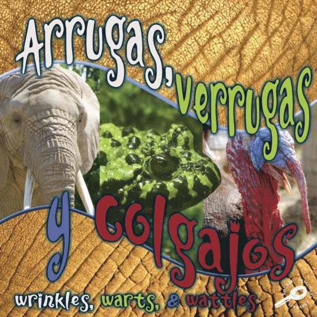 Arrugas, verrugas y colgajos