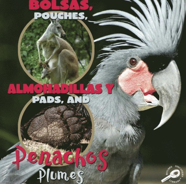 Bolsas, almohadillas y penachos