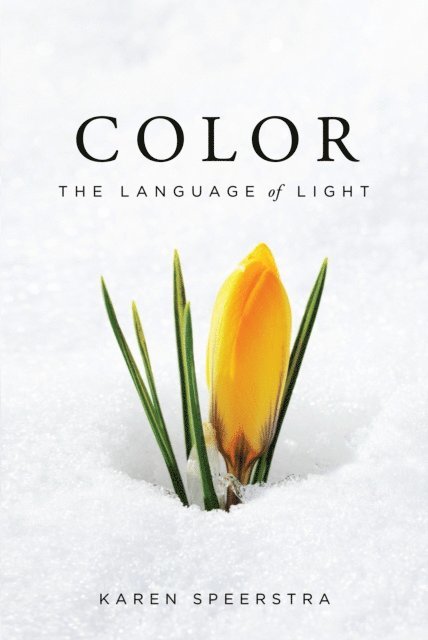 Karen Speerstra - Color, E-bok