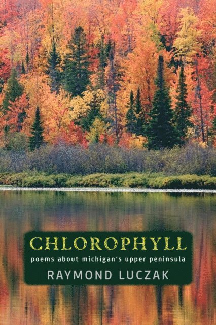Raymond Luczak - Chlorophyll, E-bok