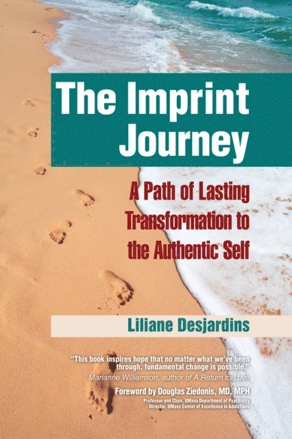 Liliane Desjardins - Imprint Journey, E-bok