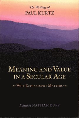 Meaning and Value in a Secular Age av Nathan Bupp